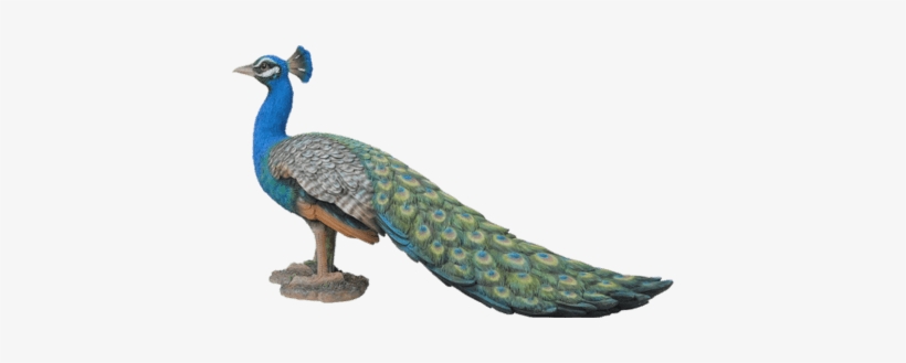 Peacock Garden Ornament - Garden Ornament, transparent png