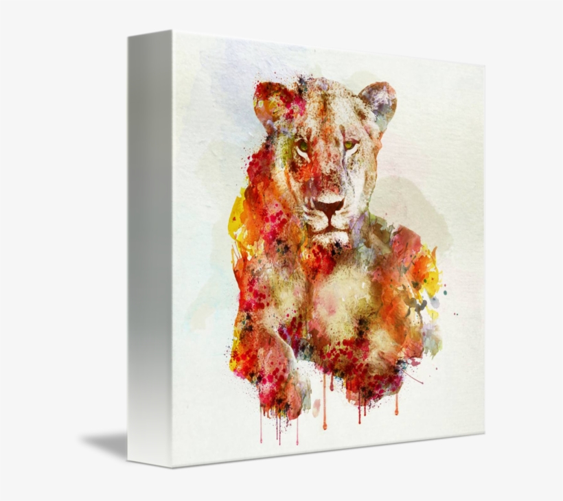 "resting Lioness" By Marian Voicu, Bucharest // Watercolor - Resting Lioness In Watercolor, transparent png