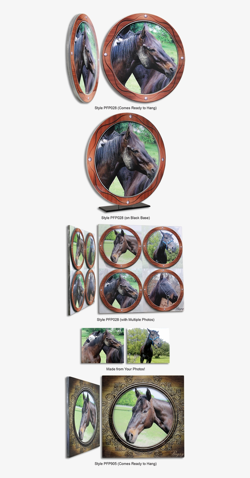 Photo Frames Plus - Photograph, transparent png