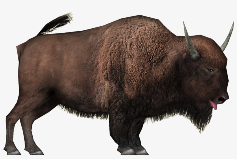 Jpg Black And White Library Bison Clipart White Background - Бизон Пнг, transparent png