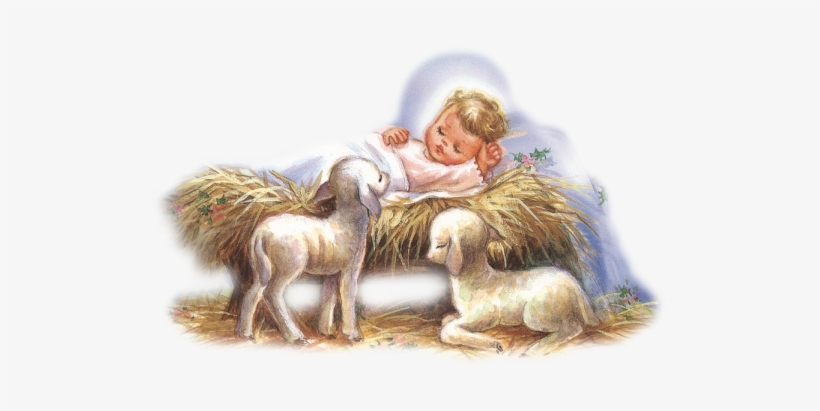 Quizás También Le Interese - Date Was Jesus Born, transparent png