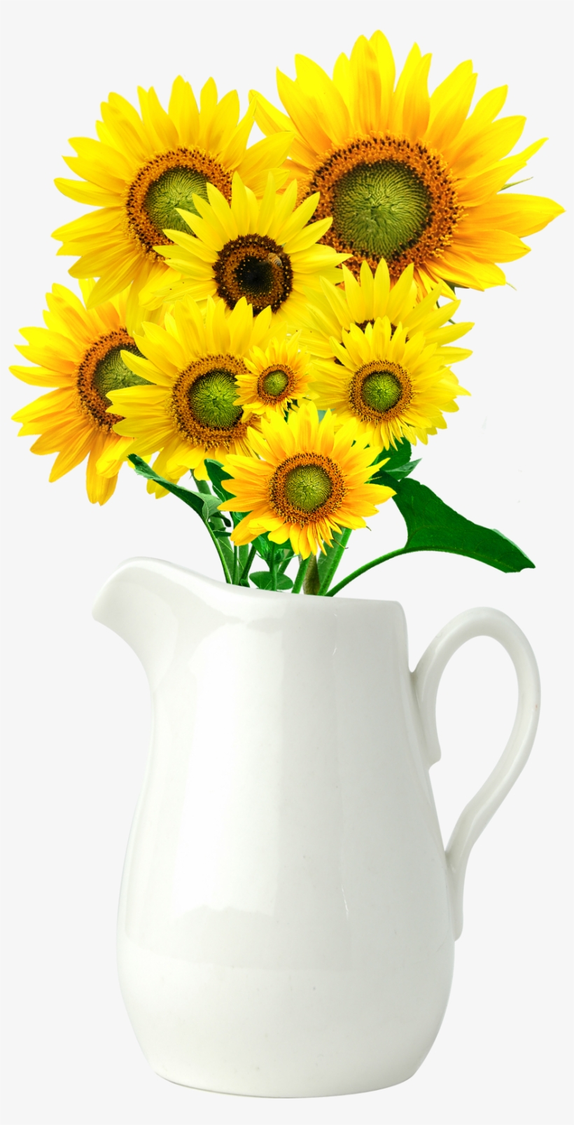 Common Sunflower Vase Sun Flower Vase Vector 1097x1766 PNG Download