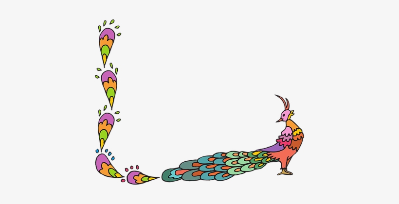 Peacock Peafowl Fantail Fan Tail Showy Tai - Decorative Corner Borders In Color, transparent png
