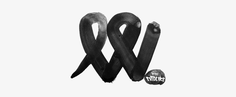 Srh The Regime The Empire Wild Evidence - Wild Evidence, transparent png