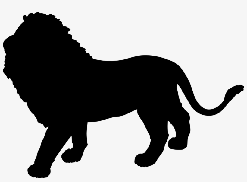 Golden Triangle Tour With Ranthambore - Leon Parado En Dos Patas, transparent png