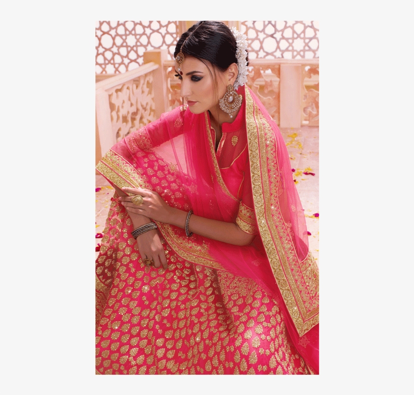Punch Pink Net Semi-stiched Lehenga With Zari - Lehenga, transparent png