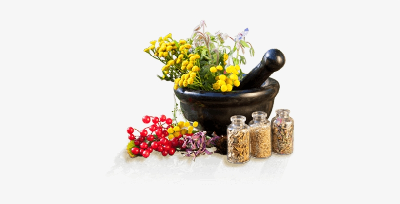 Download Png Image Report - Ayurveda Png, transparent png