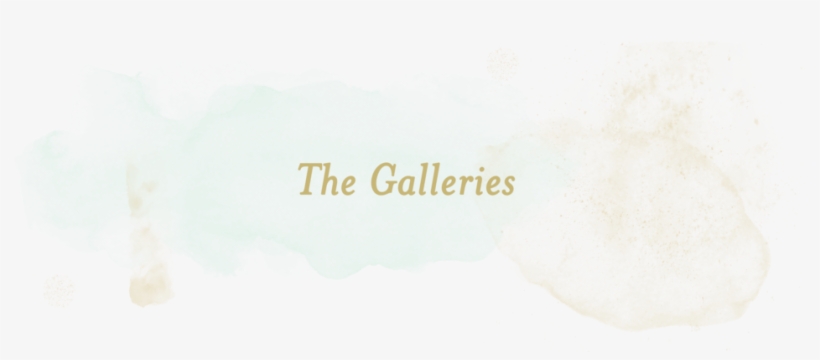 Thegalleries Maryngraves -2 - Constantia Font, transparent png