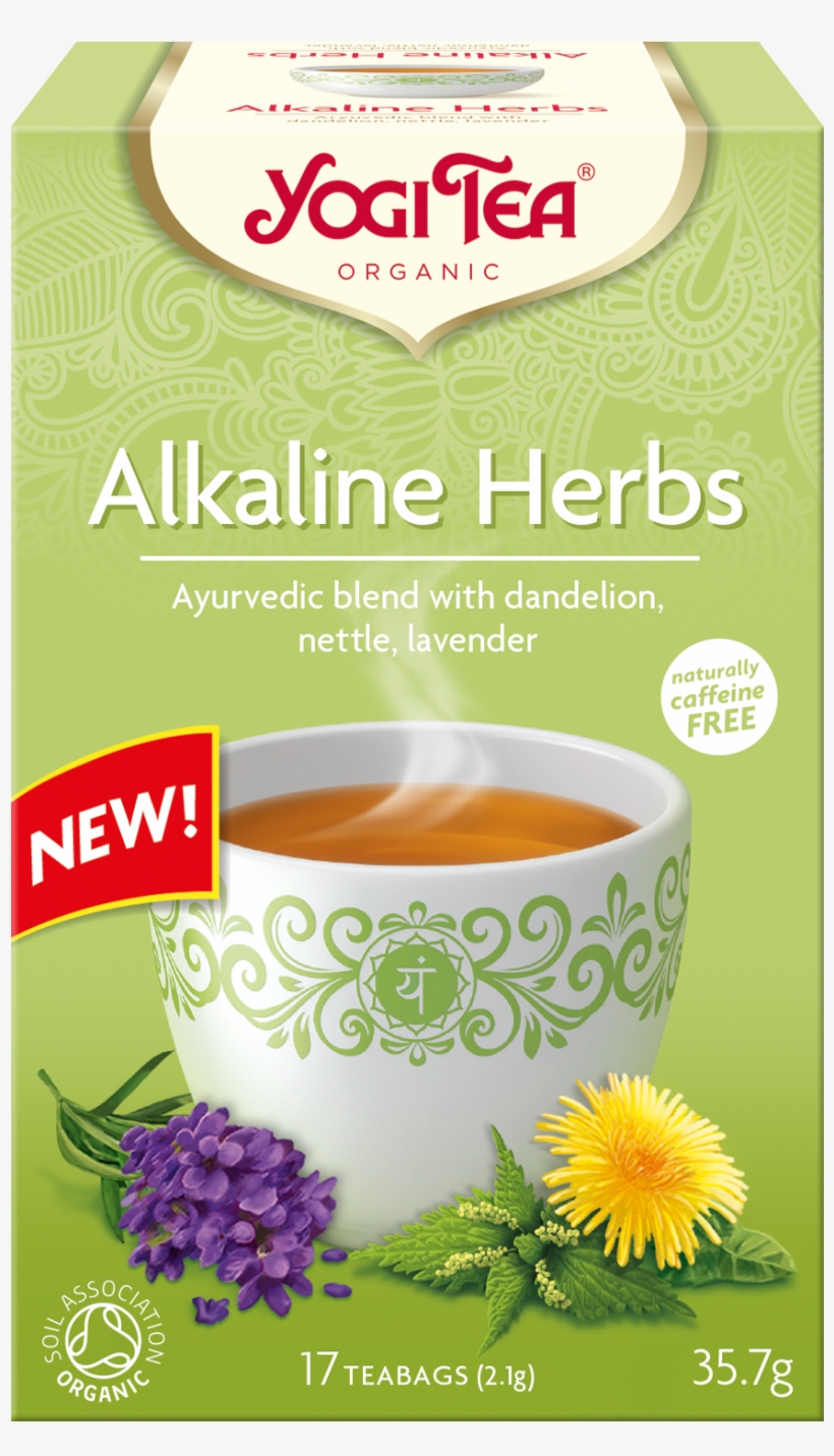 Alhe Dpi Scan For Website Png Yogi Enjoying Tea, transparent png