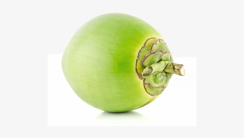 Green Tender Coconut - Green Coconut, transparent png
