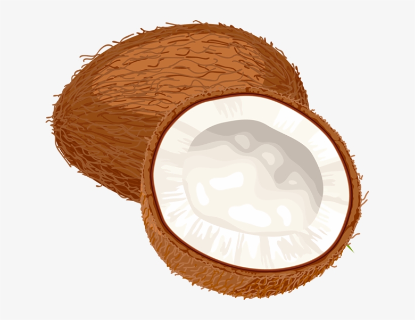 Coconut Clipart Cute - Coconut Oil Miracle: 30+ Coconut Oil Recipes Coconut, transparent png