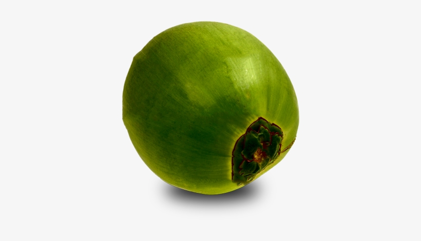 Green Coconut Png - Papaya, transparent png