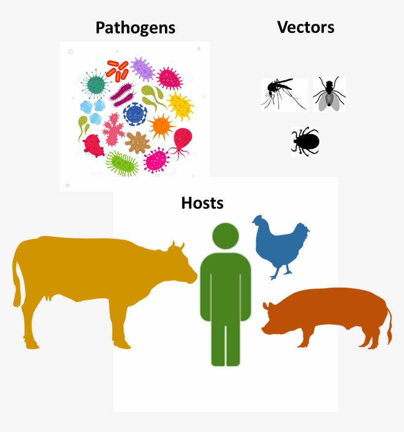 Climate Change Can Affect Different Actors Along The - Illustration, transparent png