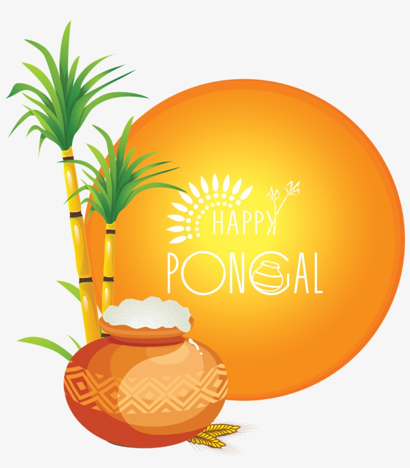Here Is Sankranti Muggula Kunda Cutting File In Png - Thai Pongal, transparent png