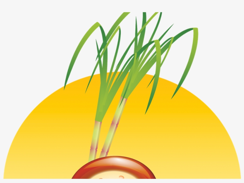 Mud Pongal Pot Vector, transparent png