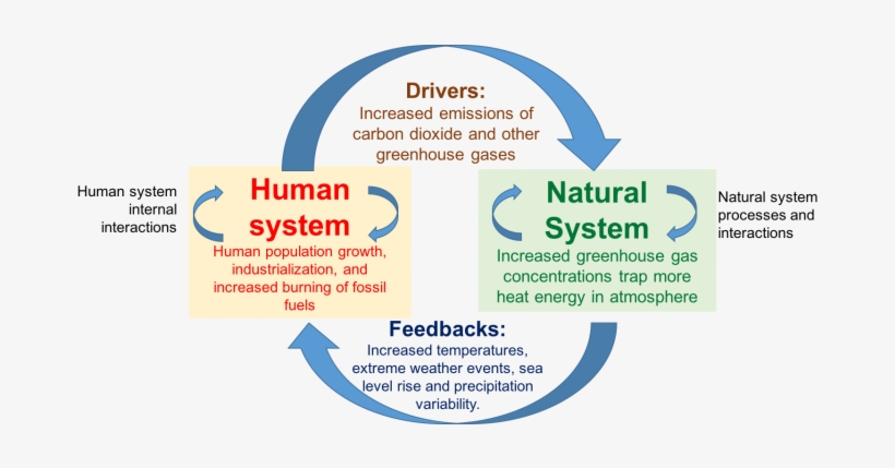 Chnsdiagram Gcc 0 - Coupled Human And Natural Systems, transparent png