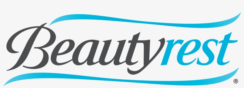 Entrancing Sealy Posturepedic Logo Apartment Photography - Beautyrest Orthopaedic Wedge Pillow, transparent png