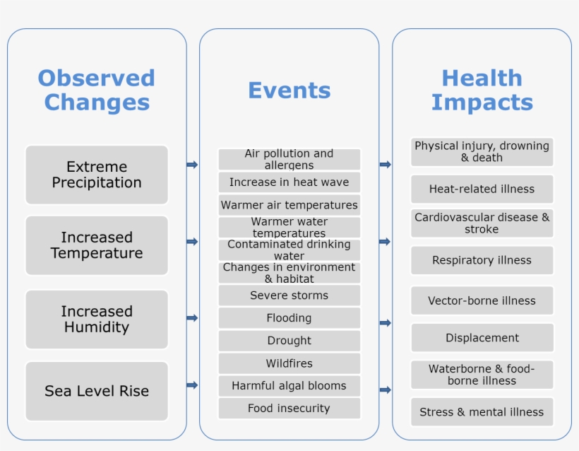 Global Warming Flowchart Best Picture Of Chart