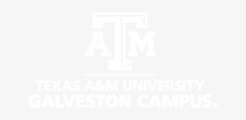 Custom Stacked Logo Electronic White - Texas A&m, transparent png