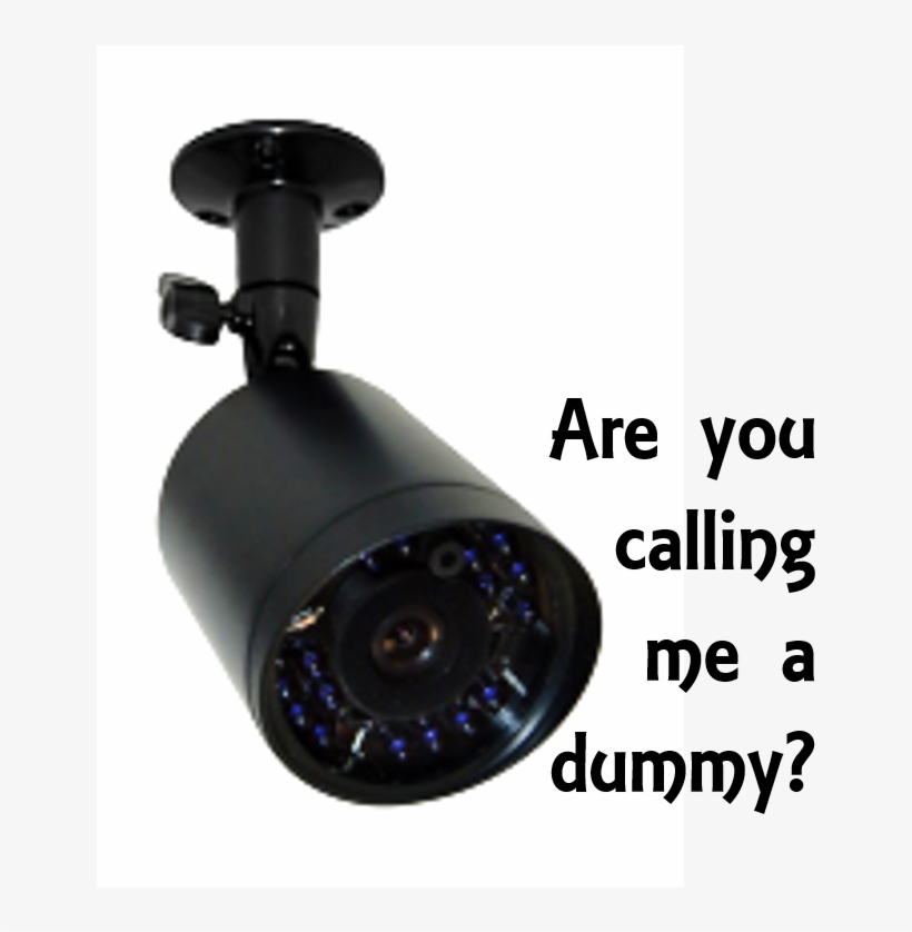 Should You Buy Dummy Outdoor Security Cameras - Astellas/bladder And Bowel Foundation - Astellas, transparent png