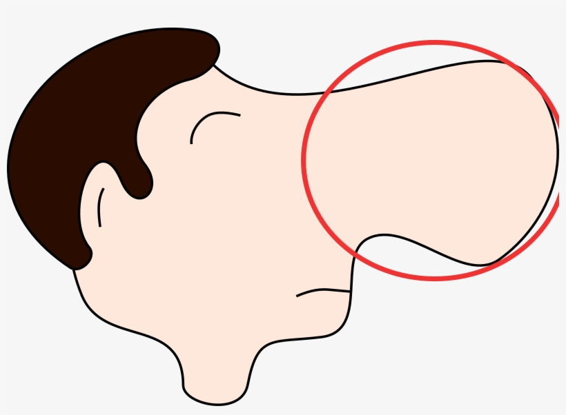 Big Nose Clipart, transparent png