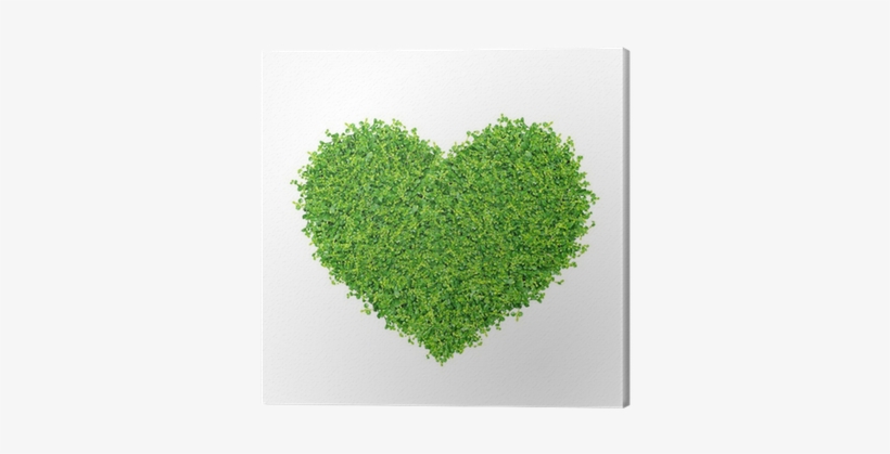 Grass And Plants, Small Green Heart - Heart Made From Plants, transparent png