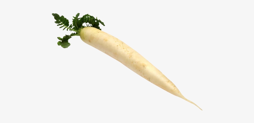 Mooli Png Clipart - Japanese Minowase (daikon) Radish Heirloom Seed, transparent png