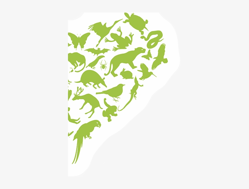Green Heart Donation - Green Motion, transparent png