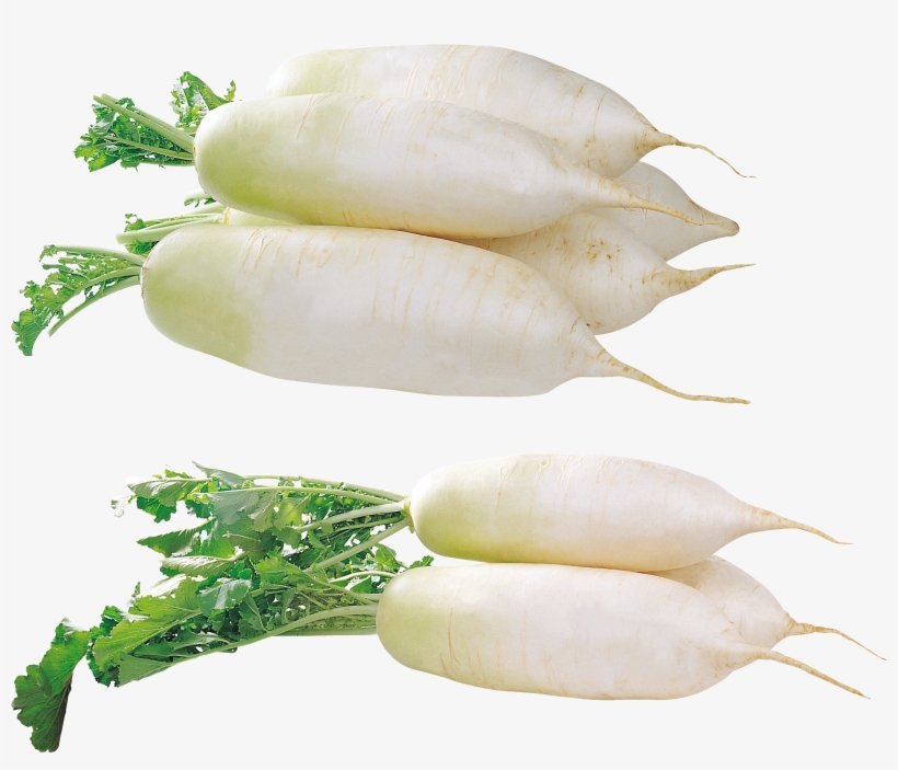 Radish Png - Daikon, transparent png