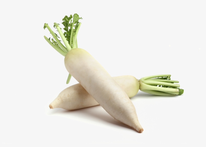 Mooli Png Photos White Radish Benefits 3888x2592 PNG Download PNGkit