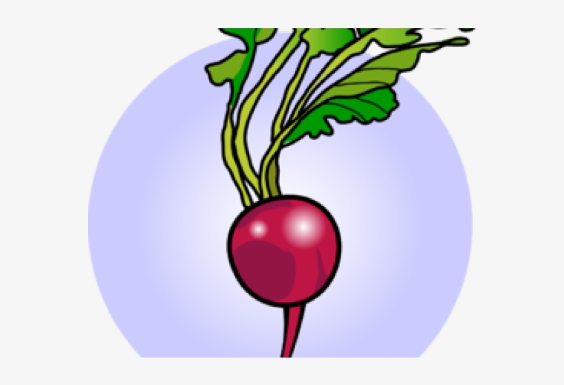 Radish, transparent png