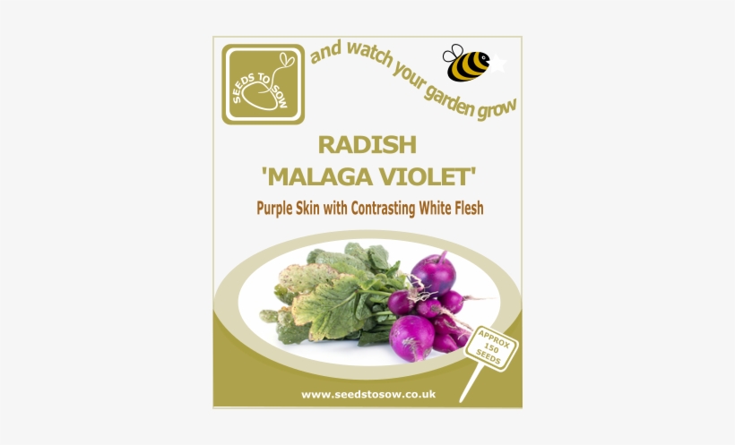 Radish Malaga Violet - Broccoli Purple Sprouting Early, transparent png
