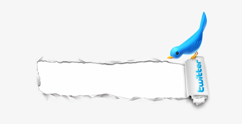 Paper Hole Bird Icon 615x343download - Twitter, transparent png