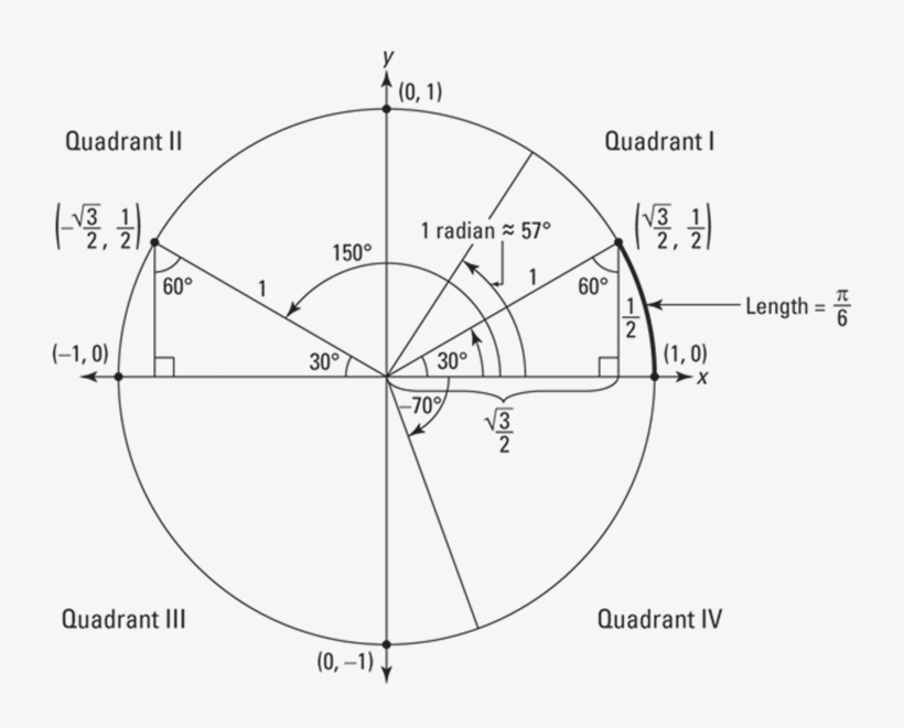 The Unit Circle Has A Radius Of One Unit And Is Set - Circle, transparent png