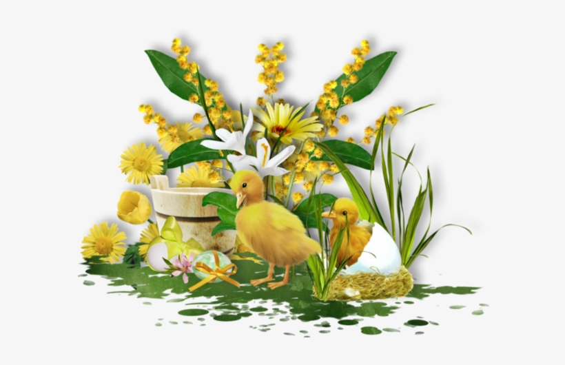 Tubes Paques Cute Clipart, Sarah Kay, Poultry, Happy - Easter, transparent png