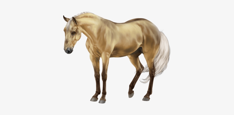 Currents - Equiverse Dark Grey, transparent png