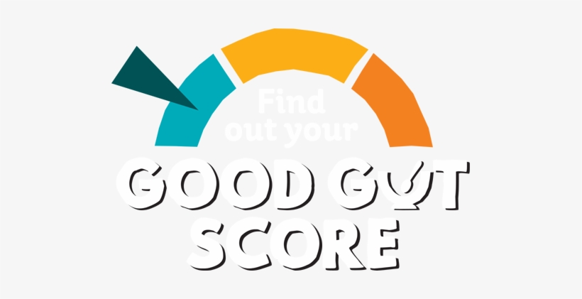 Get To Know Your Gut By Answering 10 Fun And Simple - Circle, transparent png