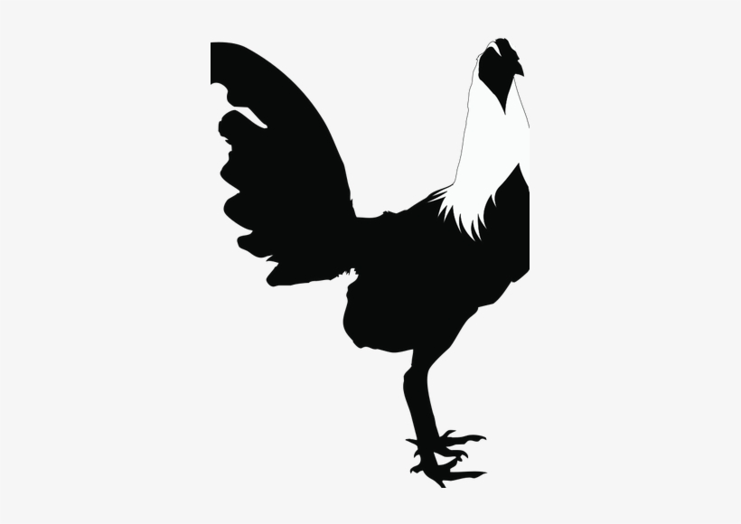 Rooster Silhouette Public Domain Vectors - Imagenes De Gallos Silueta, transparent png