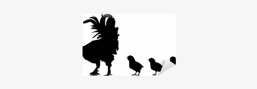 Three Newborn Chickens And Rooster Silhouettes On White - Cool Silhouettes Chicken, transparent png