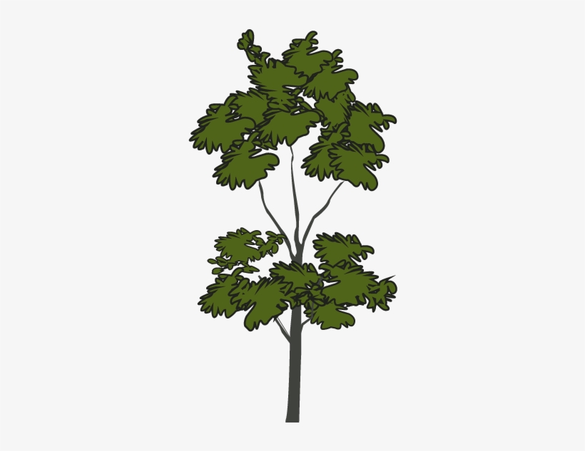 Santa Barbara Bowl Foundation - Santa Barbara Bowl, transparent png