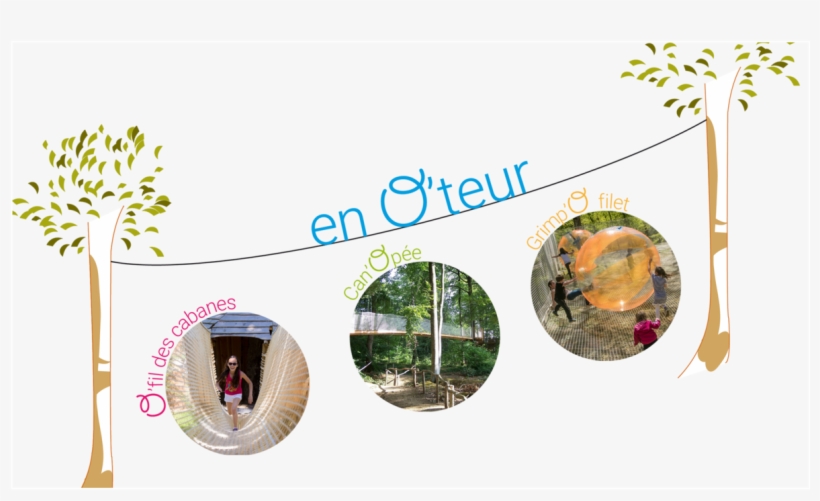 Aerial Game - Tree, transparent png