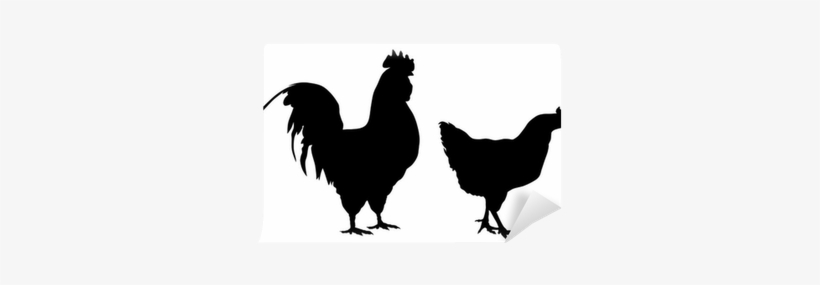 Never Use A Chicken And Other Stories, transparent png