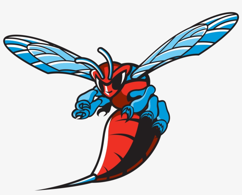 Delaware State Athletics Logo, transparent png
