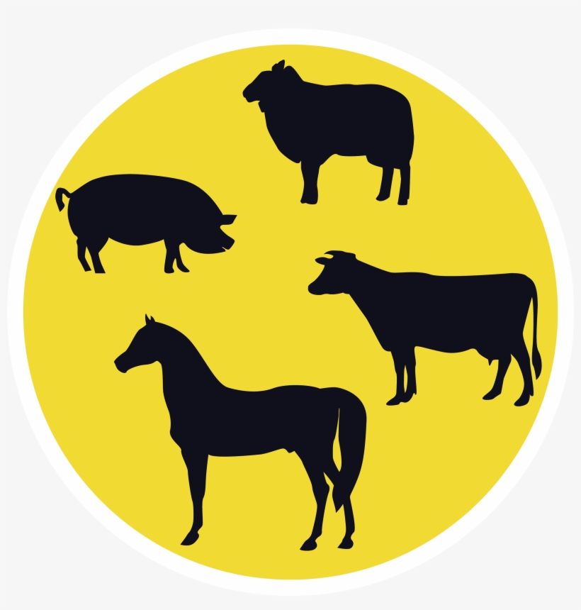 Cage For Rooster - Farm Sweet Farm Svg, transparent png
