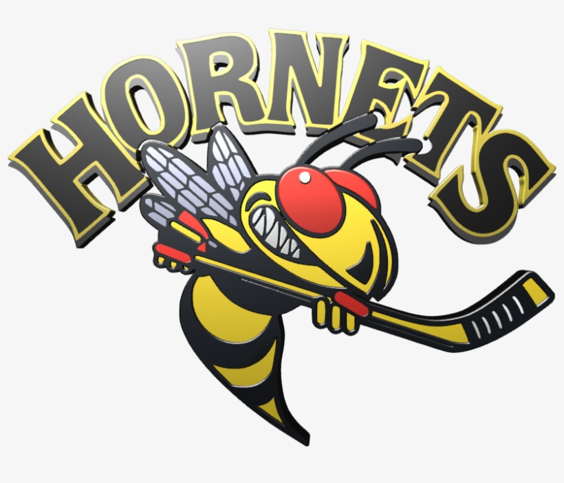 Langley Hornets Logo, transparent png