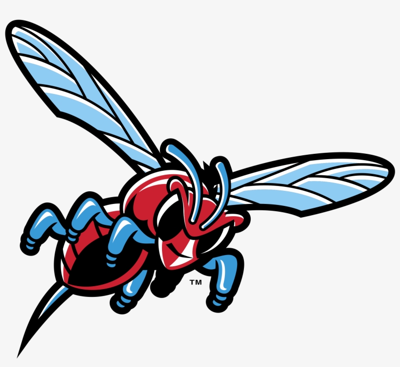 Delaware State Hornets Logo Png Transparent - Delaware State University ...