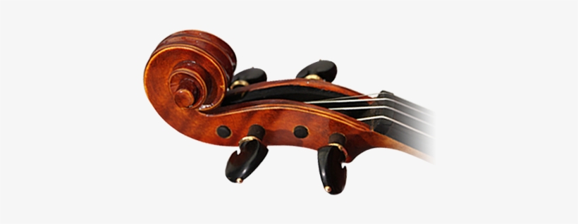 Lily@violin-china - Com - Hxmusical@163 - Com - Transparent Images Double Bass, transparent png