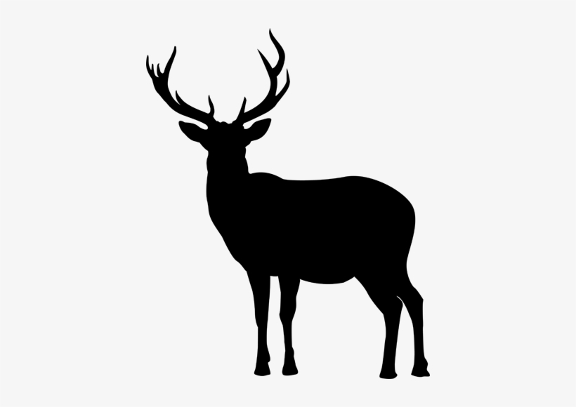 Deer Silhouette Png - Siluett Ren, transparent png