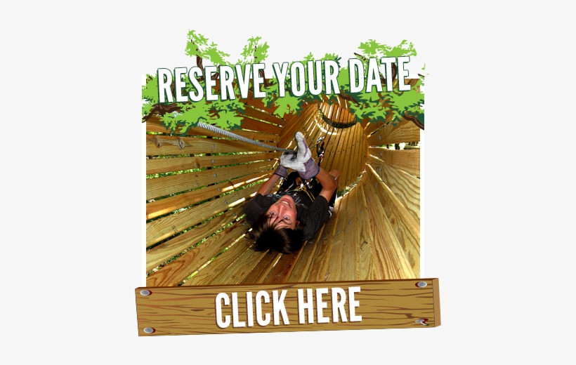 Reserve Your Party At Treehoppers Aerial Adventure - Orchard Road, transparent png