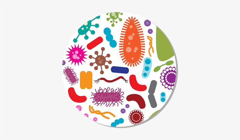 2017 Pipette By Numbers - Human Microbiome Clip Art, transparent png